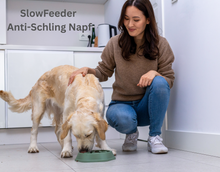 Lade das Bild in den Galerie-Viewer, SlowFeeder Hundenapf - Schlingfrei fressen &amp; die Verdauung fördern (35% Rabatt)
